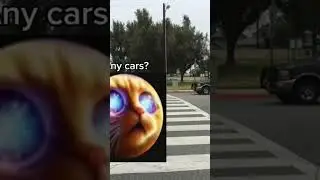 Crossing the road #cat #funny #truck #meme #funnymeme #shorts