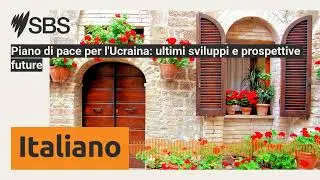 Piano di pace per l'Ucraina: ultimi sviluppi e prospettive future | SBS Italian - SBS in Italiano