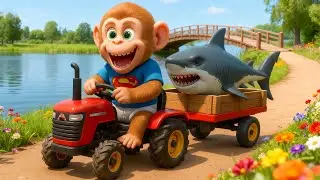 Hero Monkey Nana Fixes the Road After Flood While Carrying Fish on Tractor!