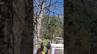 360 view from Sharan Glamping Pods, Sharan Forest