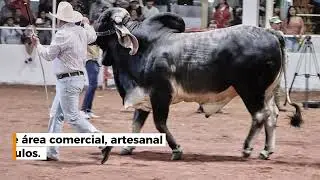 Expo Ganadera Jalisco 2025