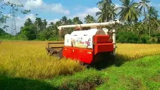 Harvester working full video.