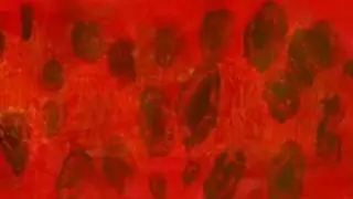 Overture from 