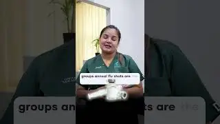 Understanding Flu Symptoms, Causes, and Prevention  | Home Checkup with Trusted Doctors