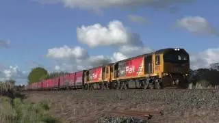 Silver Fern Heads South