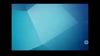 StockRanking Live Stream