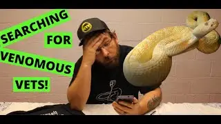 Finding a VET for VENOMOUS Snakes!