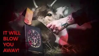 MAGICAL DRUM ORACLE DECK: A PRESENTATION