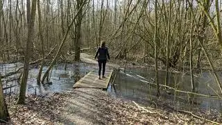 Wandelen Harderbos
