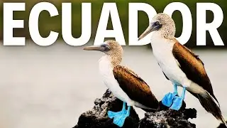 One Country. Four Worlds. Why Ecuador Will Shock You | Travel Guide