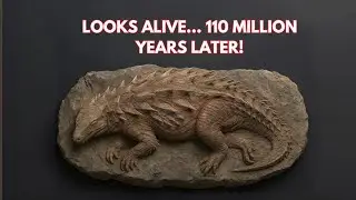 110-Million-Year-Old Dinosaur Found in Perfect Condition | Most Preserved Fossil Ever
