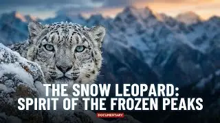 The Snow Leopard: Spirit of the Frozen Peaks | Wildlife Documentary