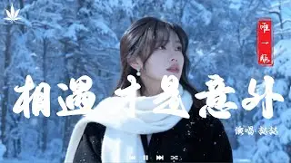 相遇才是意外 - 挞挞 | Xiang Yu Cai Shi Yi Wai - Ta Ta『離別是常態相遇才是意外，我們在時間里留下對白。』【動態歌詞MV】♪