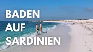 Flamingos bei Oristano und Baden am Strand Is Arutas | Vanlife auf Sardinien