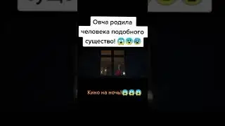8 ноября 2022 г.