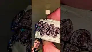 Plug Geo #motivation #grillz #viralvideo #shorts #trending #viralshorts #youtubeshorts #inspiration