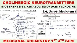 Cholinergic Neurotransmitter || Biosynthesis and Catabolism of Acetylcholine | L-1 U-3 | Medichem 1
