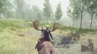 NieR:Automata - Moose.exe has Stopped Working