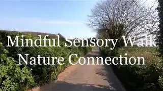 Mindful Sensory Walk - Nature Connection