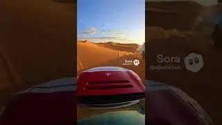Running like a camel in the desert