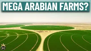 How Saudi Arabia Is Turning Its Desert Into Farmland