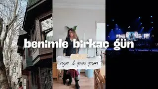 Vegan & Yavaş Yaşam Vlog | Hogwarts Konseri, Kuzguncuk, Bit Pazarı