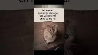 #humour #top #francefamily #shortvideo #drole #drole_videos #dr&ocirc;le #rigoler