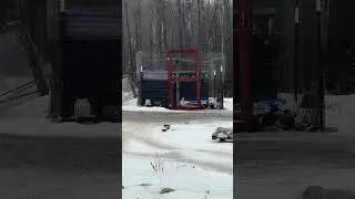 Весенний дождь зимой #видео #жизньживотных #вирусноевидео #ферма #вирусное #fyp #длятебя #животны...
