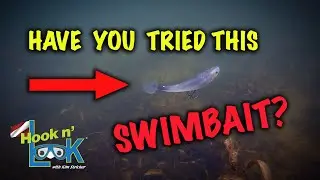 Have You Tried This Swimbait?