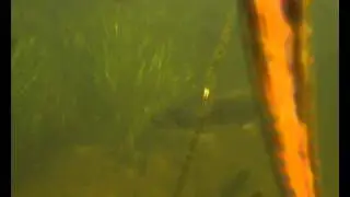 Подводная охота на Волге с мягкими подводными боксами Ewa-Marine