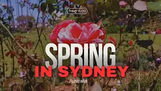 Experience SPRING in Sydney ! Travelling in Australia