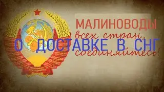 Доставка саженцев в СНГ.