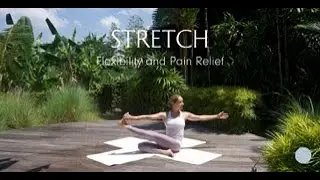 Растяжка и восстановление | Barre Mobility для суставов и мышц (подходит для людей среднего возра...