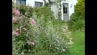 Country house for sale. Devon. Permaculture. Smallholding. 4 beds, micro-climate, south facing.