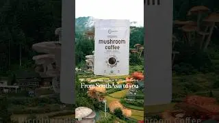 MicroIngredients organic mushroom coffee from SouthAsia to you