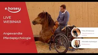 ehorses Webinar:  Angewandte Pferdepsychologie mit Timo Ameruoso