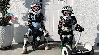 @ShredLights delivers!