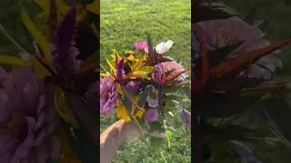August Flower Bouquet, Cut Flower Farm #flowerfarming #cutflowergarden