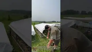 Chicken Farming: Mobile Chicken Coop