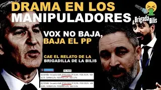 🔴 EL PA&Iacute;S SE DESMARCA DEL PENSAMIENTO &Uacute;NICO: SOLO SUBEN VOX Y SALF 🔴