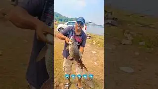 fishing 2025 #fishing #fishingtime #baitfishing #carpfishing