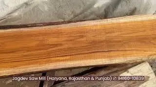High Grade Teak wood Logs - Sudan teak, MP teak, Brazil teak in Haryana, Punjab & Rajasthan.
