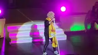 Some Guys have all the luck- The Rod Stewart Story ( Paul Metcalfe )