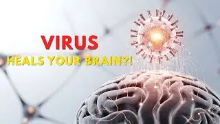 Этот вирус действительно может восстановить повреждения мозга 🧠 | Будущее исцеления