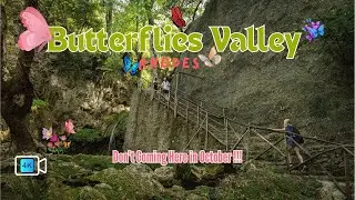 BUTTERFLIES VALLEY II RHODES GREECE II  DON'T COMING HERE IN OCTOBER I #butterflies #rhodes #greece