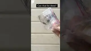 Preserved Dog's Hair❤ Best Memory💭 #dog #doglover #animals #viral #shorts