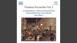 Unter Donner und Blitz, Polka, Op. 324