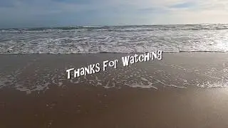 SotaBros Texas (Captain Murphy Fishing Charters)