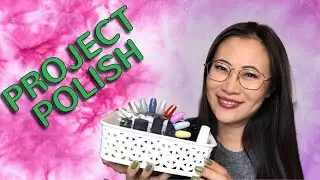 PROJECT POLISH 2019 UPDATE 7