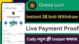 Catly Earning Site | live payment proof | Binance payment | catly.io withdraw | withdraw pending